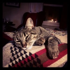 Meet your Posher, Holly